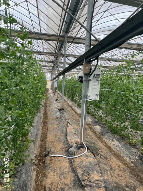 智慧农业利器 农业大棚环境监测仪——农林牧渔专用仪器的应用与展望